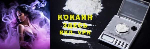 соль ск Бородино