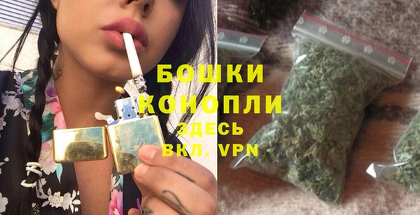 соль ск Бородино