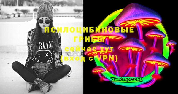 соль ск Бородино