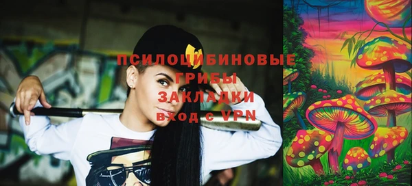 соль ск Бородино