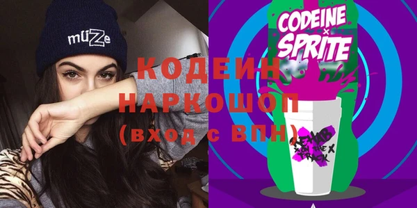 соль ск Бородино