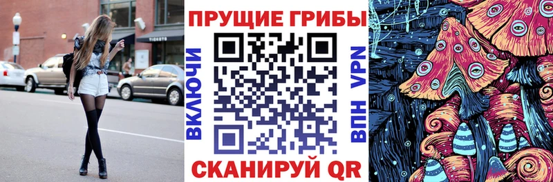 Псилоцибиновые грибы Psilocybe  Юрюзань 