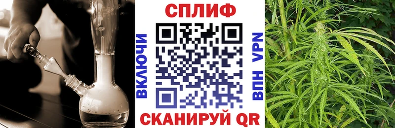 закладка  Юрюзань  Шишки марихуана гибрид 